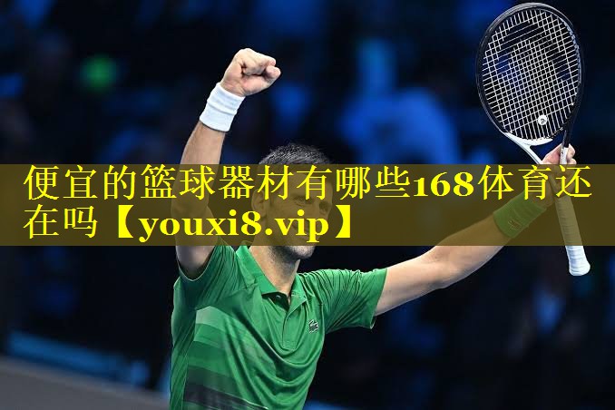 便宜的篮球器材有哪些168体育还在吗