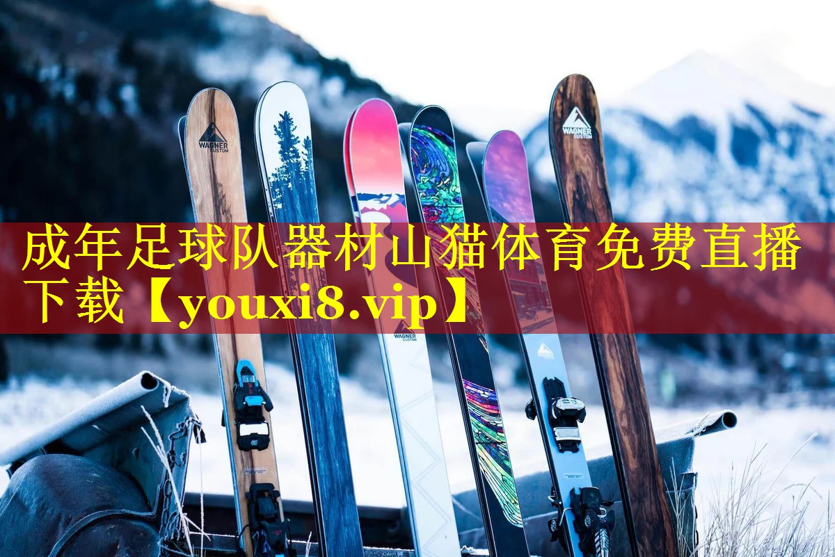 成年足球队器材山猫体育免费直播下载