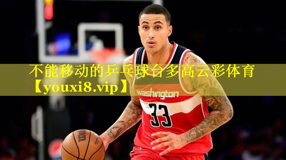 不能移动的乒乓球台多高云彩体育
