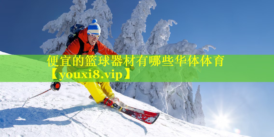 便宜的篮球器材有哪些华体体育