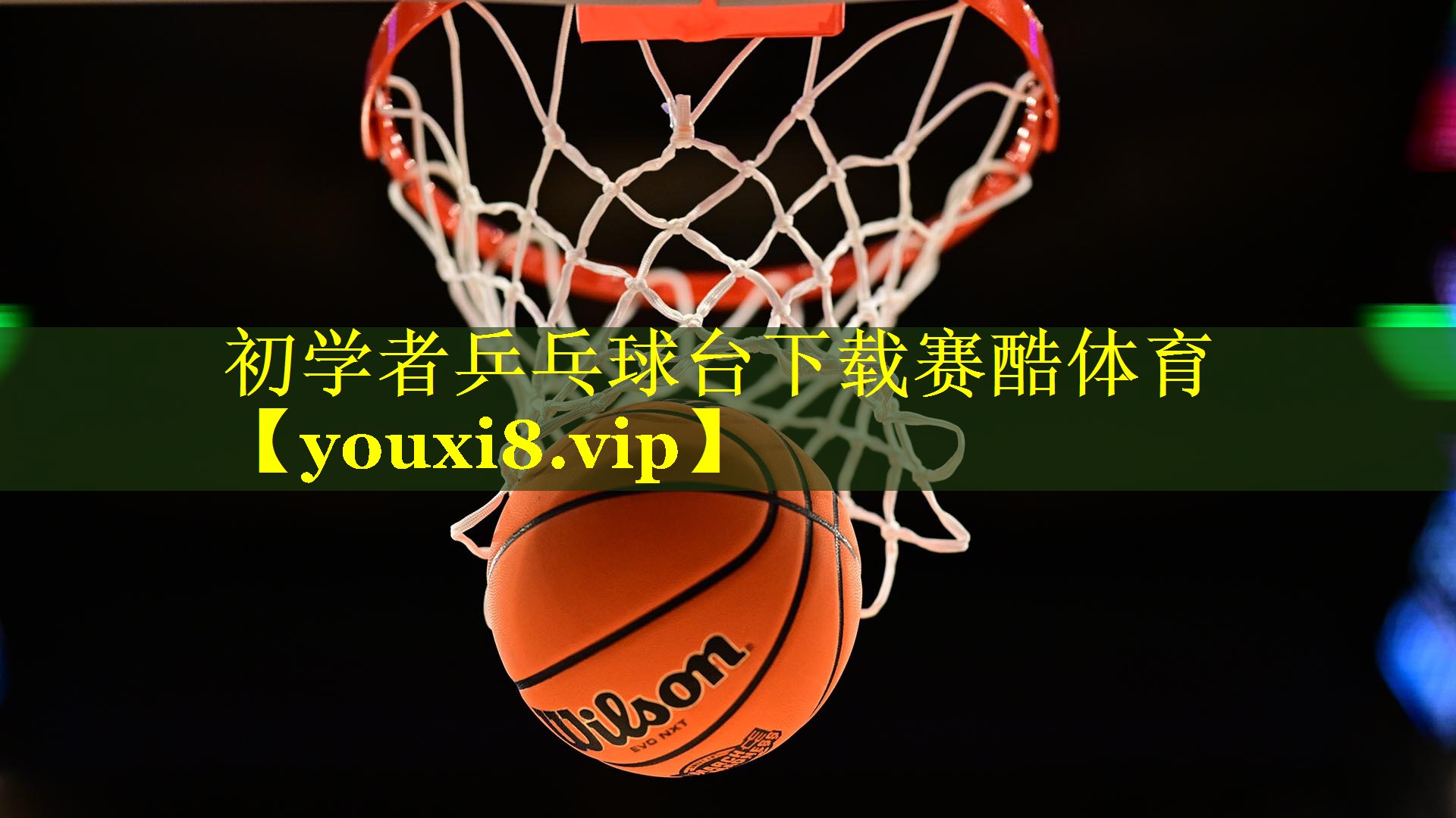 初学者乒乓球台下载赛酷体育
