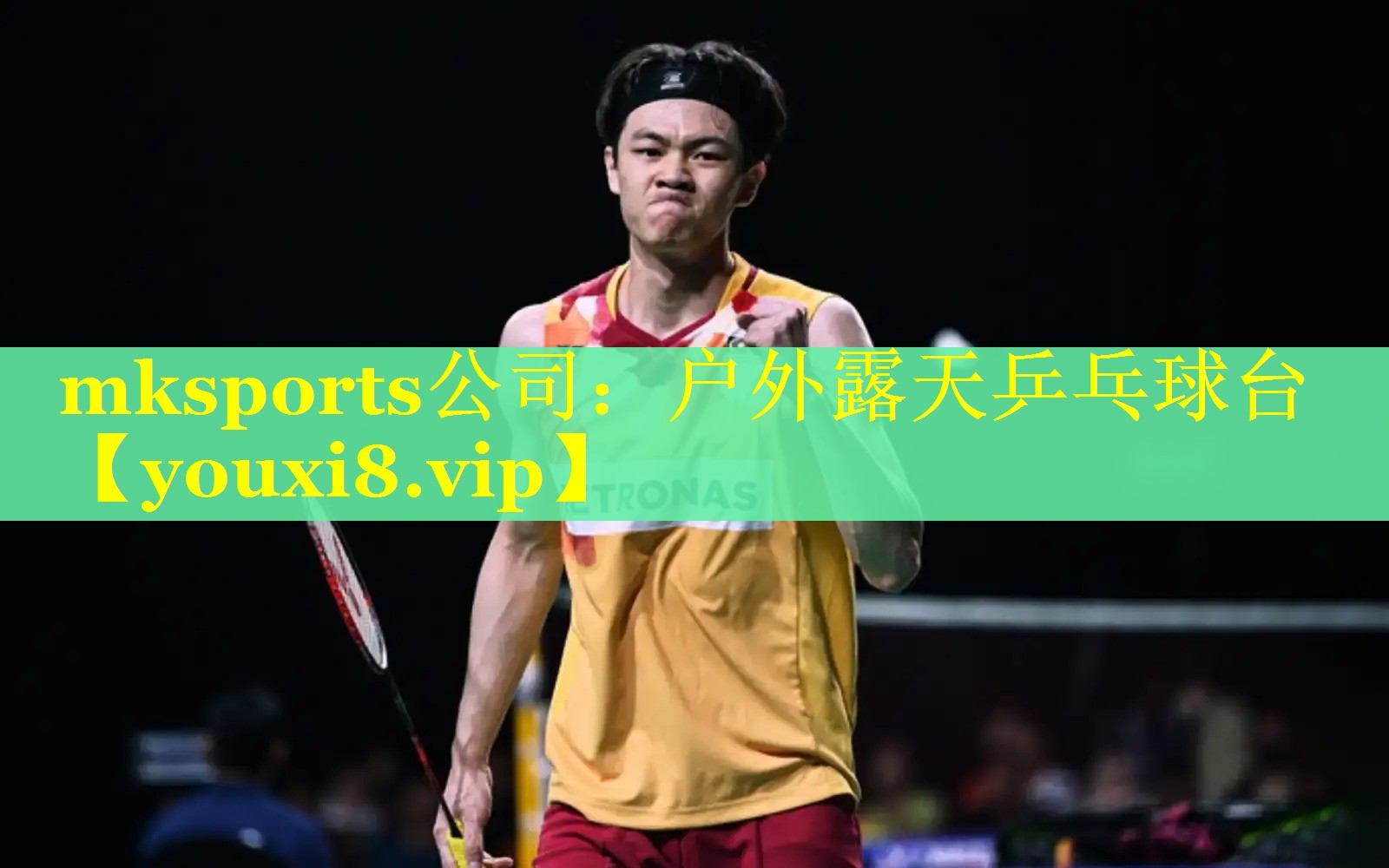 mksports公司：户外露天乒乓球台